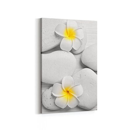 Olla 17084D Spa / Masaj Görseli Dikey Kanvas Tablo (Ölçü: 60X90)