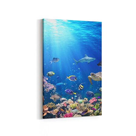 Olla 12169D Akvaryum / Balık Görseli Dikey Kanvas Tablo (Ölçü: 100X150)