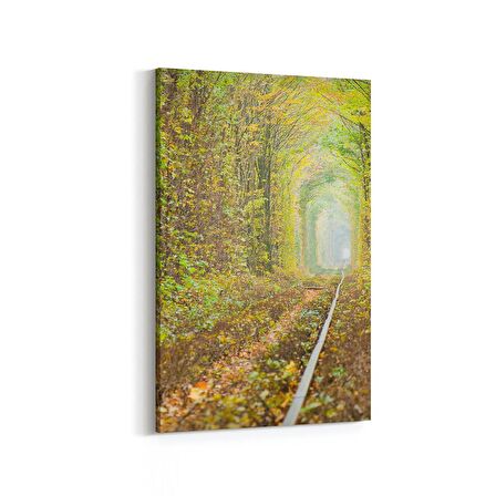 Olla 13405D Doğa / Manzara Görseli Dikey Kanvas Tablo (Ölçü: 80X120)