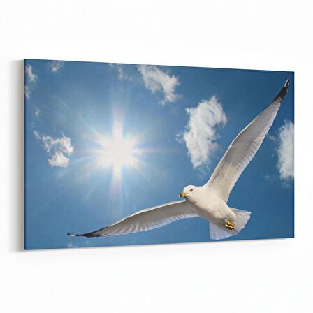 Olla 15844Y Gökyüzü Kuşlar Görseli Yatay Kanvas Tablo (Ölçü: 150X100)
