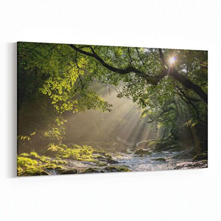 Olla 14139Y Doğa / Manzara Görseli Yatay Kanvas Tablo (Ölçü: 45X30)