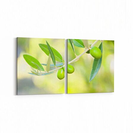 Olla 15115K2Y Gıda Görseli Kare 2'li Yatay Kanvas Tablo (Ölçü: 85X40)
