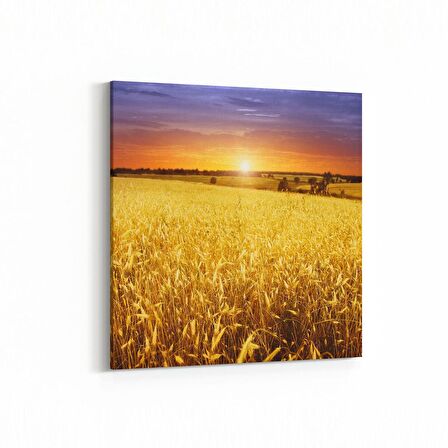 Olla 16076K Günbatımı Görseli Kare Kanvas Tablo (Ölçü: 30X30)