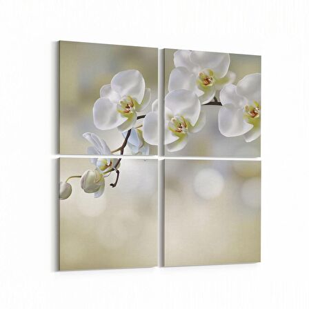 Olla 11718K4 Orkide Çiçek Görseli Kare 4'lü Kanvas Tablo (Ölçü: 145X145)