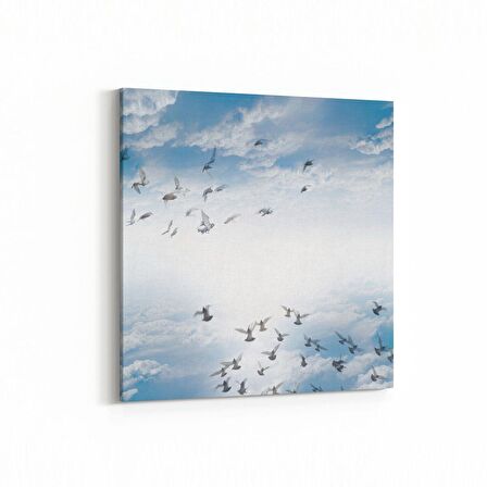 Olla 15840K Gökyüzü Kuşlar Görseli Kare Kanvas Tablo (Ölçü: 60X60)