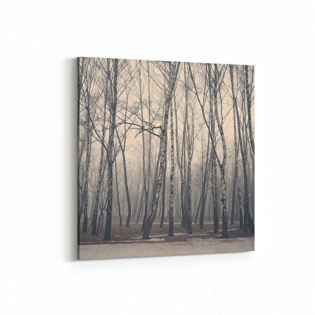 Olla 13155K Doğa / Manzara Görseli Kare Kanvas Tablo (Ölçü: 60X60)