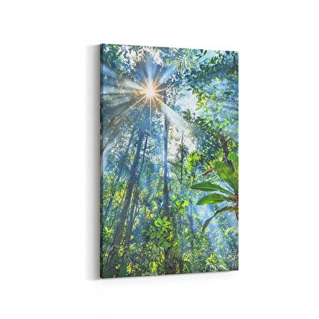 Olla 13682D Doğa / Manzara Görseli Dikey Kanvas Tablo (Ölçü: 100X150)