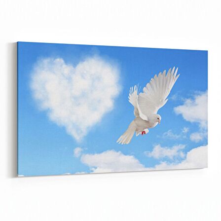 Olla 15861Y Gökyüzü Kuşlar Görseli Yatay Kanvas Tablo (Ölçü: 45X30)