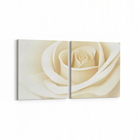 Olla 11643K2Y Çiçek Görseli Kare 2'li Yatay Kanvas Tablo (Ölçü: 105X50)