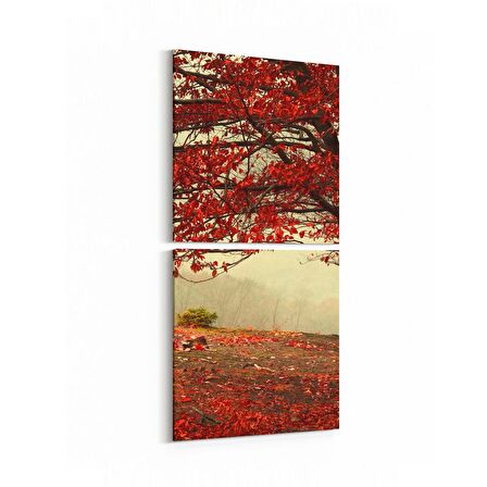 Olla 13338K2D Doğa / Manzara Görseli Kare 2'li Dikey Kanvas Tablo (Ölçü: 30X65)