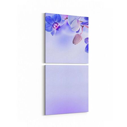 Olla 11688K2D Orkide Çiçek Görseli Kare 2'li Dikey Kanvas Tablo (Ölçü: 30X65)