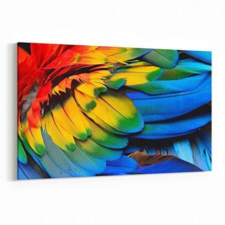 Olla 12576Y Hayvanlar Alemi Görseli Yatay Kanvas Tablo (Ölçü: 120X80)