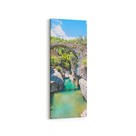 Olla 14420DI Doğa / Manzara Görseli Dikey İnce Kanvas Tablo (Ölçü: 40X120)