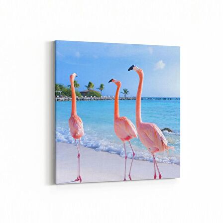 Olla 12463K Hayvanlar Alemi Görseli Kare Kanvas Tablo (Ölçü: 25X25)