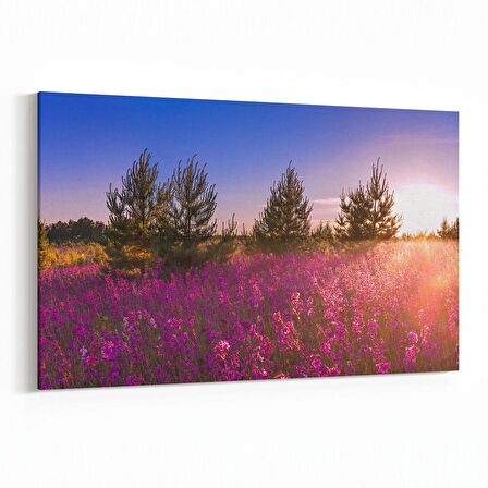 Olla 13854Y Doğa / Manzara Görseli Yatay Kanvas Tablo (Ölçü: 150X100)