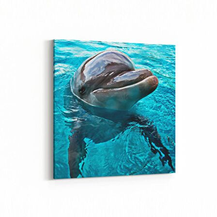 Olla 12877K Deniz / Okyanus Görseli Kare Kanvas Tablo (Ölçü: 25X25)