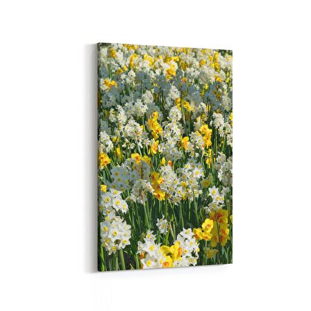 Olla 11569D Çiçek Görseli Dikey Kanvas Tablo (Ölçü: 100X150)