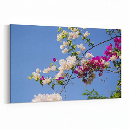 Olla 10875Y Ağaç Görseli Yatay Kanvas Tablo (Ölçü: 150X100)