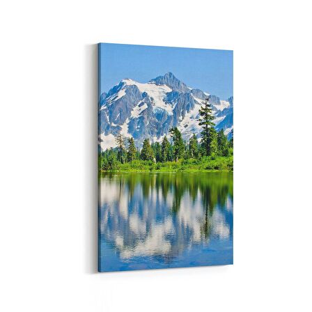 Olla 13319D Doğa / Manzara Görseli Dikey Kanvas Tablo (Ölçü: 60X90)
