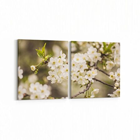 Olla 10955K2Y Ağaç Görseli Kare 2'li Yatay Kanvas Tablo (Ölçü: 85X40)