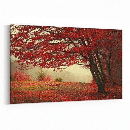 Olla 13338Y Doğa / Manzara Görseli Yatay Kanvas Tablo (Ölçü: 45X30)