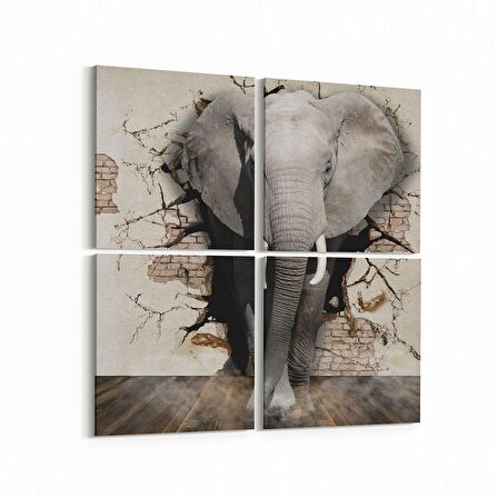 Olla 12497K4 Hayvanlar Alemi Görseli Kare 4'lü Kanvas Tablo (Ölçü: 105X105)