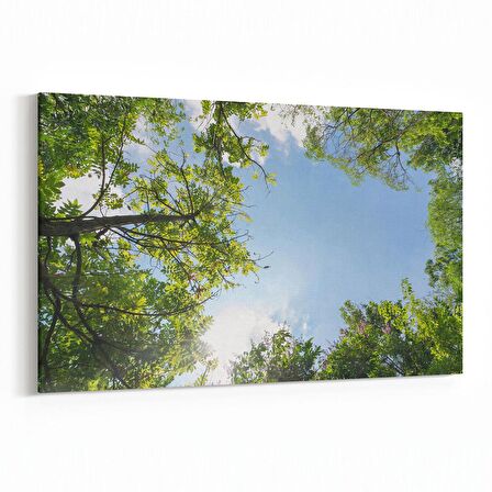 Olla 10504Y Ağaç Görseli Yatay Kanvas Tablo (Ölçü: 90X60)