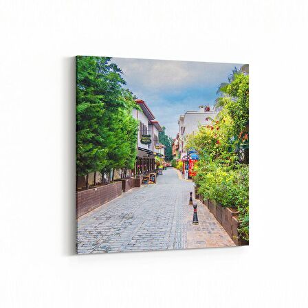 Olla 13375K Doğa / Manzara Görseli Kare Kanvas Tablo (Ölçü: 100X100)