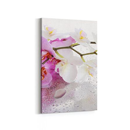 Olla 11661D Orkide Çiçek Görseli Dikey Kanvas Tablo (Ölçü: 20X30)