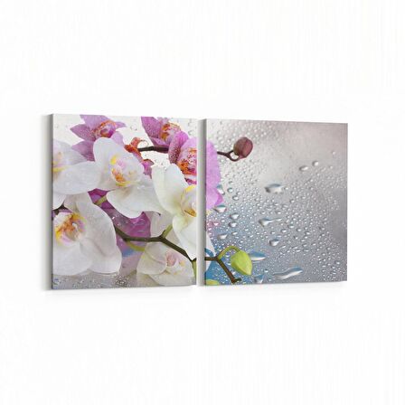 Olla 11662K2Y Orkide Çiçek Görseli 2'li Yatay Kanvas Tablo (Ölçü: 145X70)