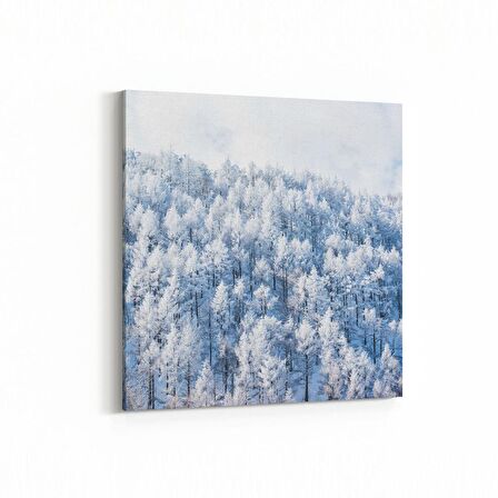 Olla 14256K Doğa / Manzara Görseli Kare Kanvas Tablo (Ölçü: 30X30)