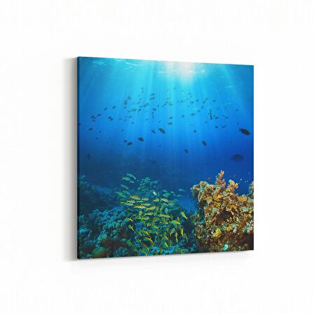 Olla 12118K Akvaryum / Balık Görseli Kare Kanvas Tablo (Ölçü: 25X25)