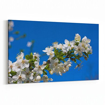 Olla 10644Y Ağaç Görseli Yatay Kanvas Tablo (Ölçü: 150X100)