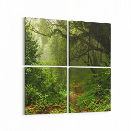 Olla 13455K4 Doğa / Manzara Görseli Kare 4'lü Kanvas Tablo (Ölçü: 125X125)