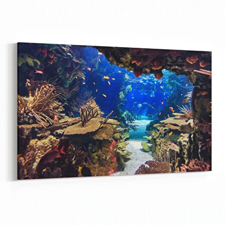 Olla 12140Y Akvaryum / Balık Görseli Yatay Kanvas Tablo (Ölçü: 150X100)