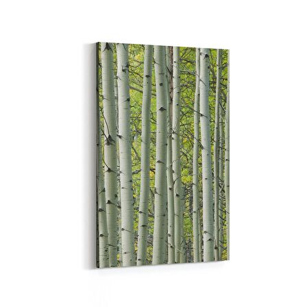 Olla 13468D Doğa / Manzara Görseli Dikey Kanvas Tablo (Ölçü: 100X150)