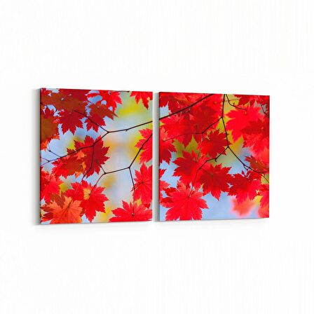 Olla 10951K2Y Ağaç Görseli Kare 2'li Yatay Kanvas Tablo (Ölçü: 145X70)