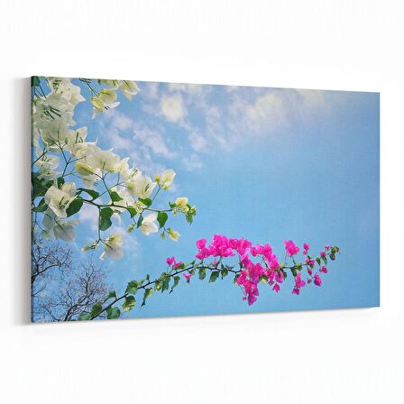 Olla 10480Y Ağaç Görseli Yatay Kanvas Tablo (Ölçü: 45X30)