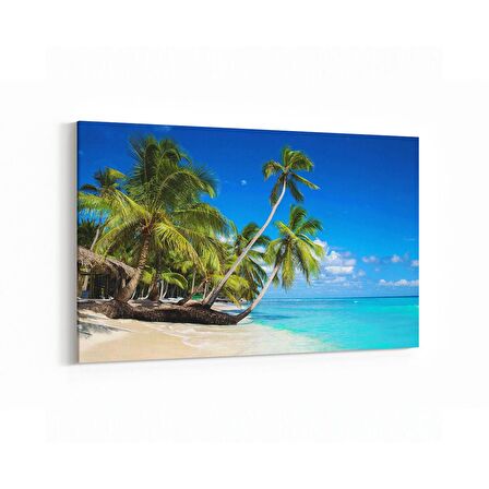 Olla 16489Y Kumsal / Sahil Görseli Yatay Kanvas Tablo (Ölçü: 70X50)