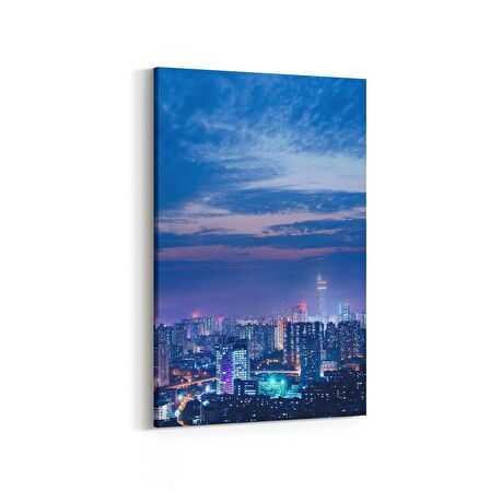 Olla 18906D Yapı Görseli Dikey Kanvas Tablo (Ölçü: 60X90)