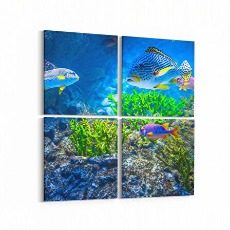 Olla 12120K4 Akvaryum / Balık Görseli Kare 4'lü Kanvas Tablo (Ölçü: 65X65)