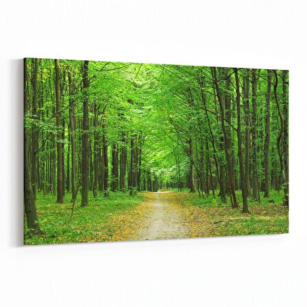 Olla 13373Y Doğa / Manzara Görseli Yatay Kanvas Tablo (Ölçü: 150X100)