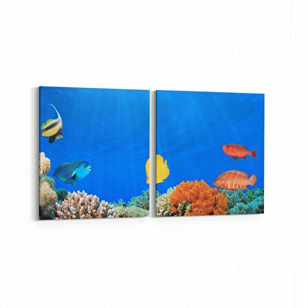 Olla 12202K2Y Akvaryum / Balık Görseli Kare 2'li Yatay Kanvas Tablo (Ölçü: 145X70)
