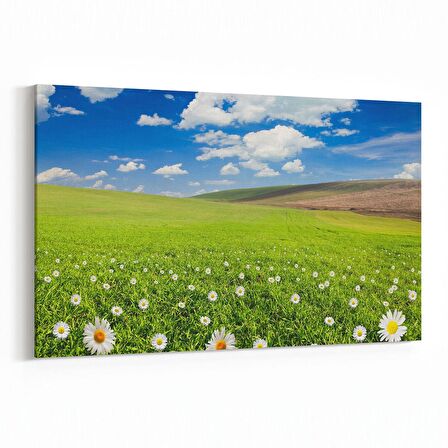 Olla 13718Y Doğa / Manzara Görseli Yatay Kanvas Tablo (Ölçü: 90X60)