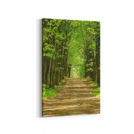 Olla 14276D Doğa / Manzara Görseli Dikey Kanvas Tablo (Ölçü: 100X150)