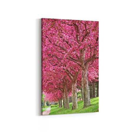 Olla 13609D Doğa / Manzara Görseli Dikey Kanvas Tablo (Ölçü: 100X150)