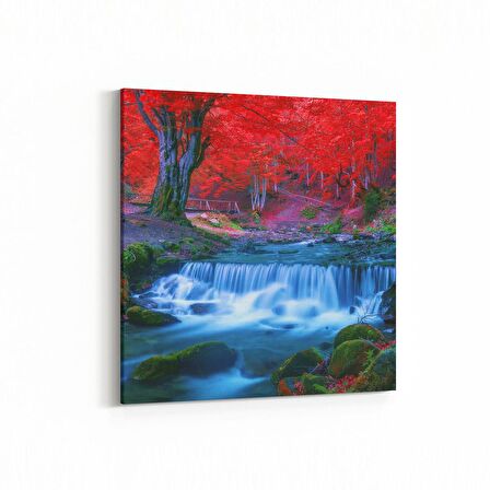 Olla 14129K Doğa / Manzara Görseli Kare Kanvas Tablo (Ölçü: 25X25)
