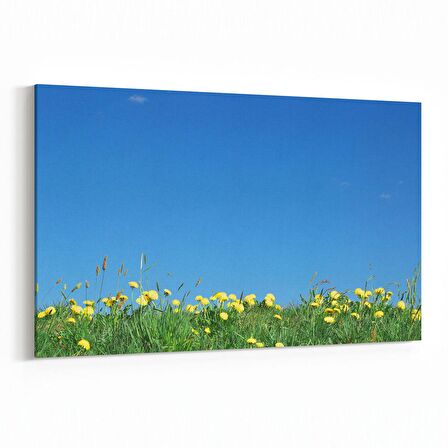 Olla 13899Y Doğa / Manzara Görseli Yatay Kanvas Tablo (Ölçü: 45X30)