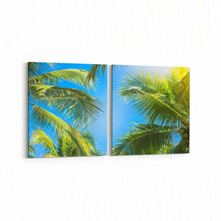 Olla 11487K2Y Palmiye Ağacı Görseli Kare 2'li Yatay Kanvas Tablo (Ölçü: 125X60)