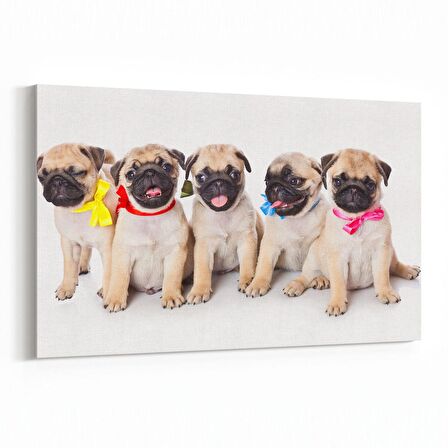 Olla 12641Y Hayvanlar Alemi Görseli Yatay Kanvas Tablo (Ölçü: 90X60)